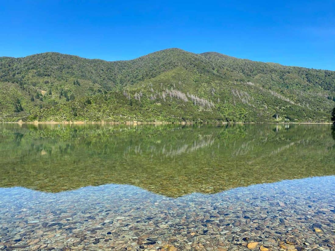Morning reflections in the bay at Furneaux Lodge, New Zealand