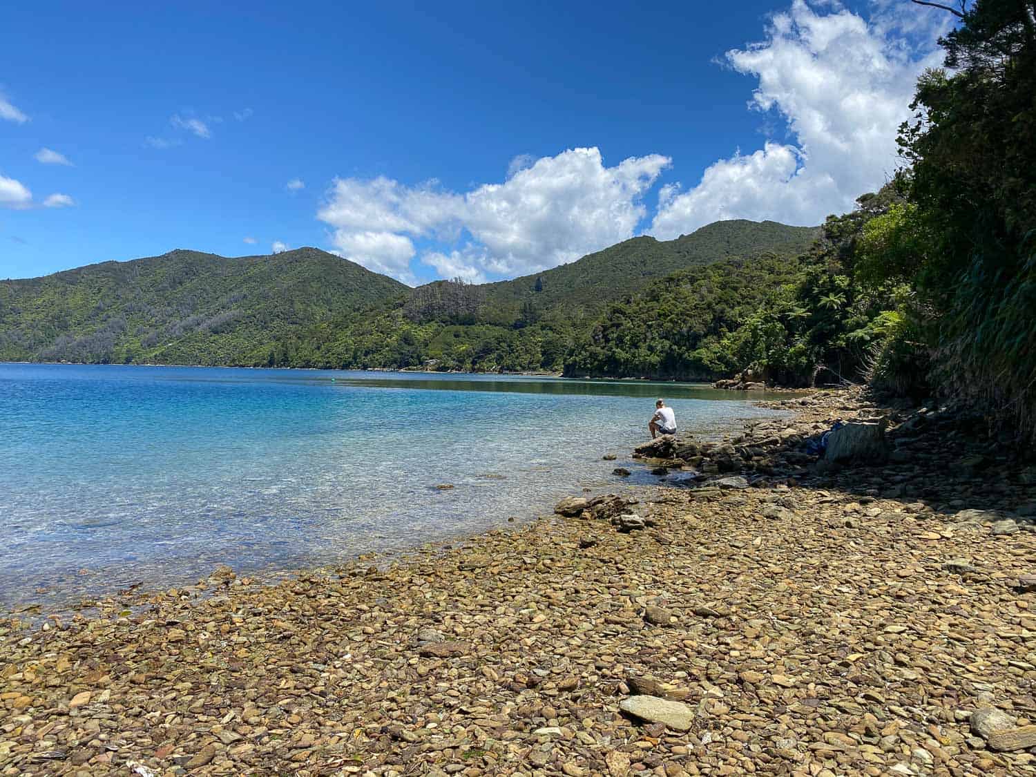 Schoolhouse Bay on the Queen Charlotte Track, New Zealand