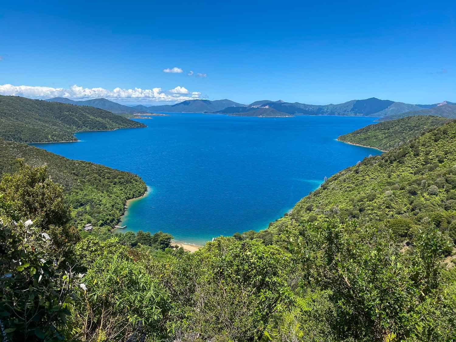 Views on the way to Tawa Saddle on the Queen Charlotte Track, New Zealand