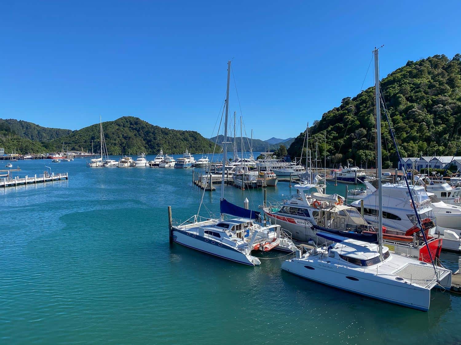 Yachts in Picton marina, New Zealand