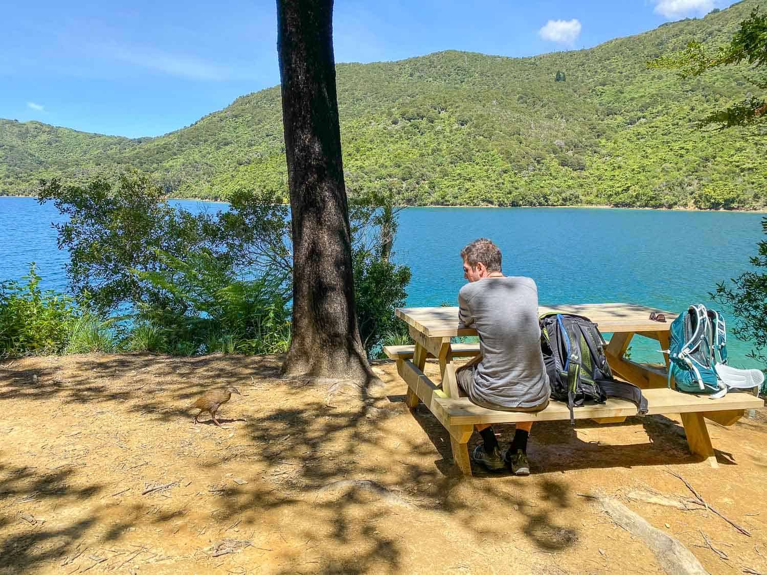 Simon and Weka at a picnic table on Day 2 of the Queen Charlotte Track, New Zealand