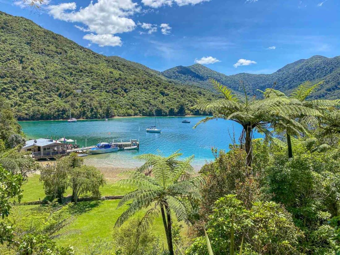 Punga Cove Resort in the Marlborough Sounds