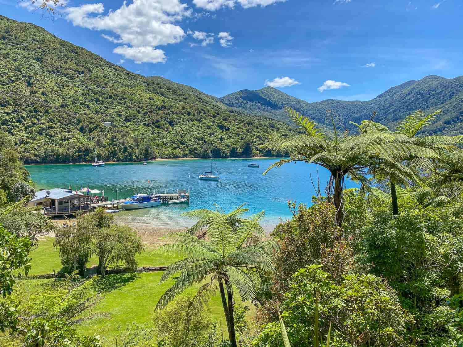 Punga Cove Resort in the Marlborough Sounds, Queen Charlotte Track, New Zealand