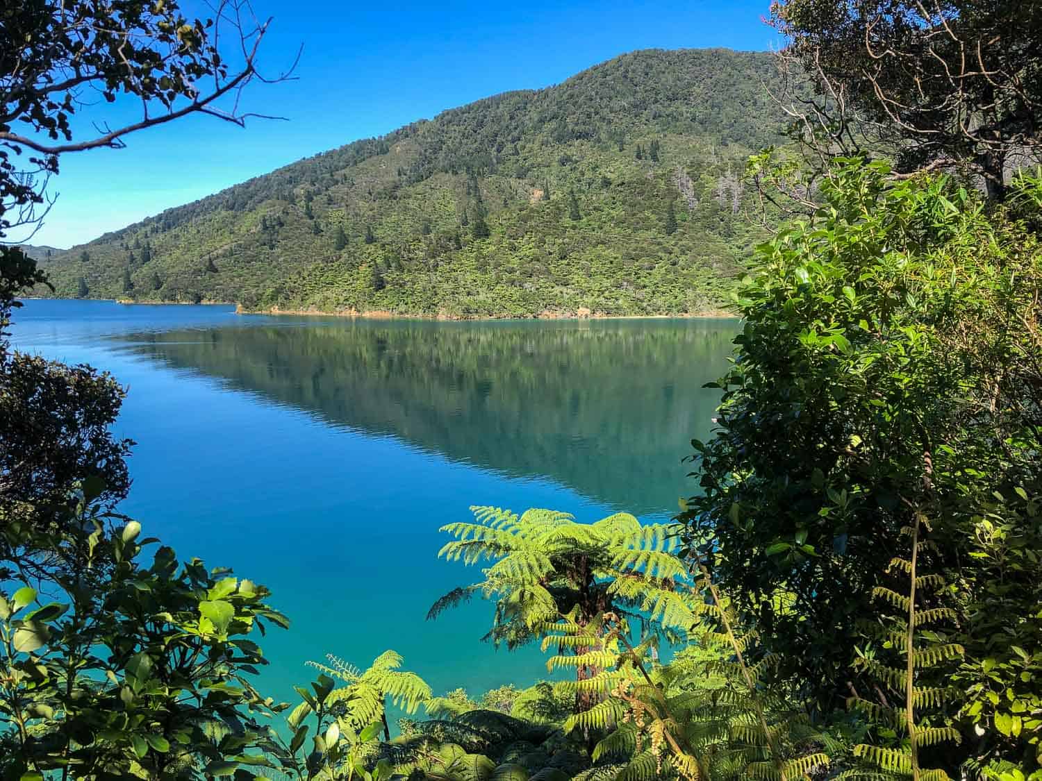 View on Day 2 of the Queen Charlotte Track
