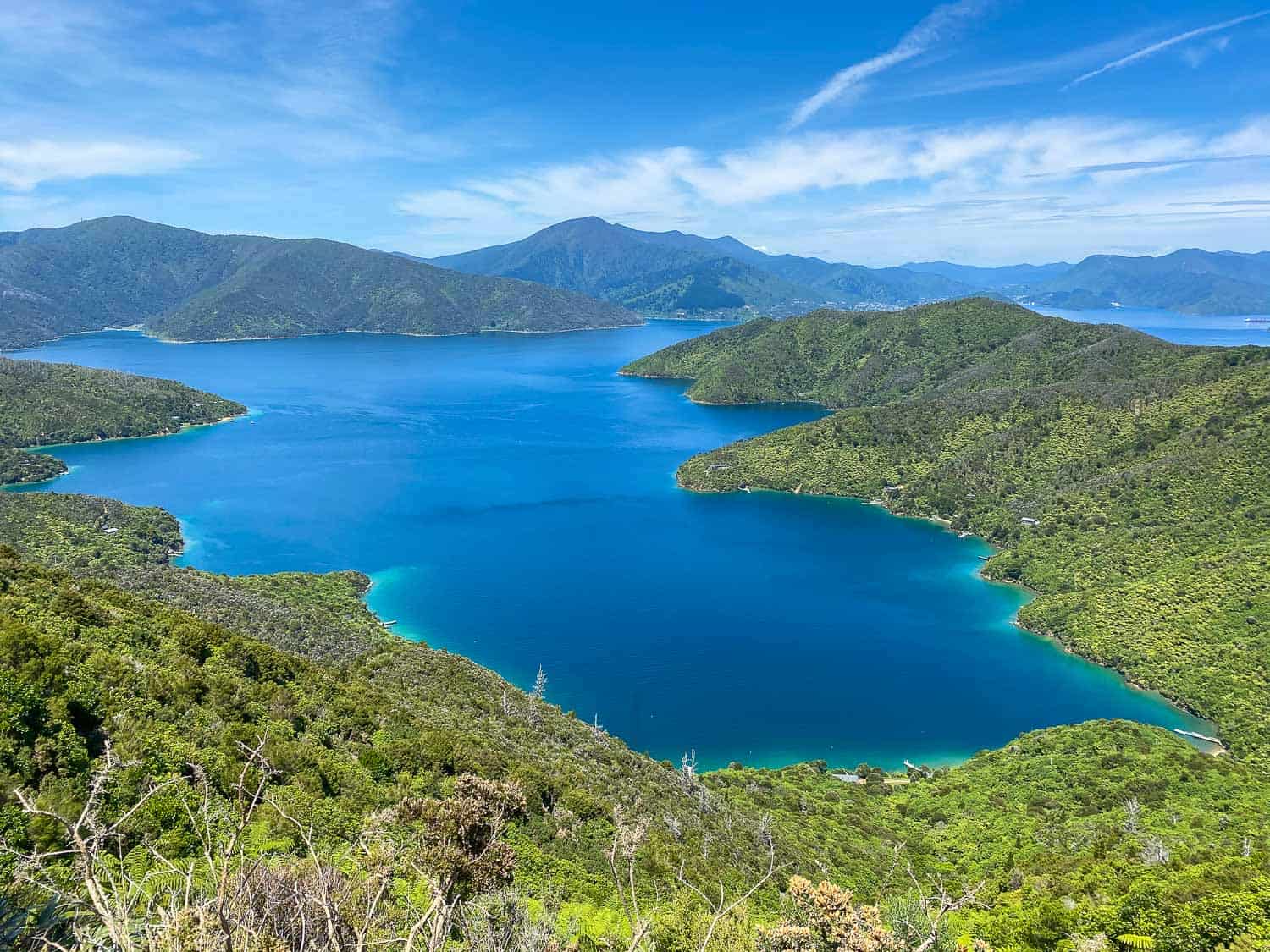 View of the Sounds on Day 3 of the Queen Charlotte Track, New Zealand