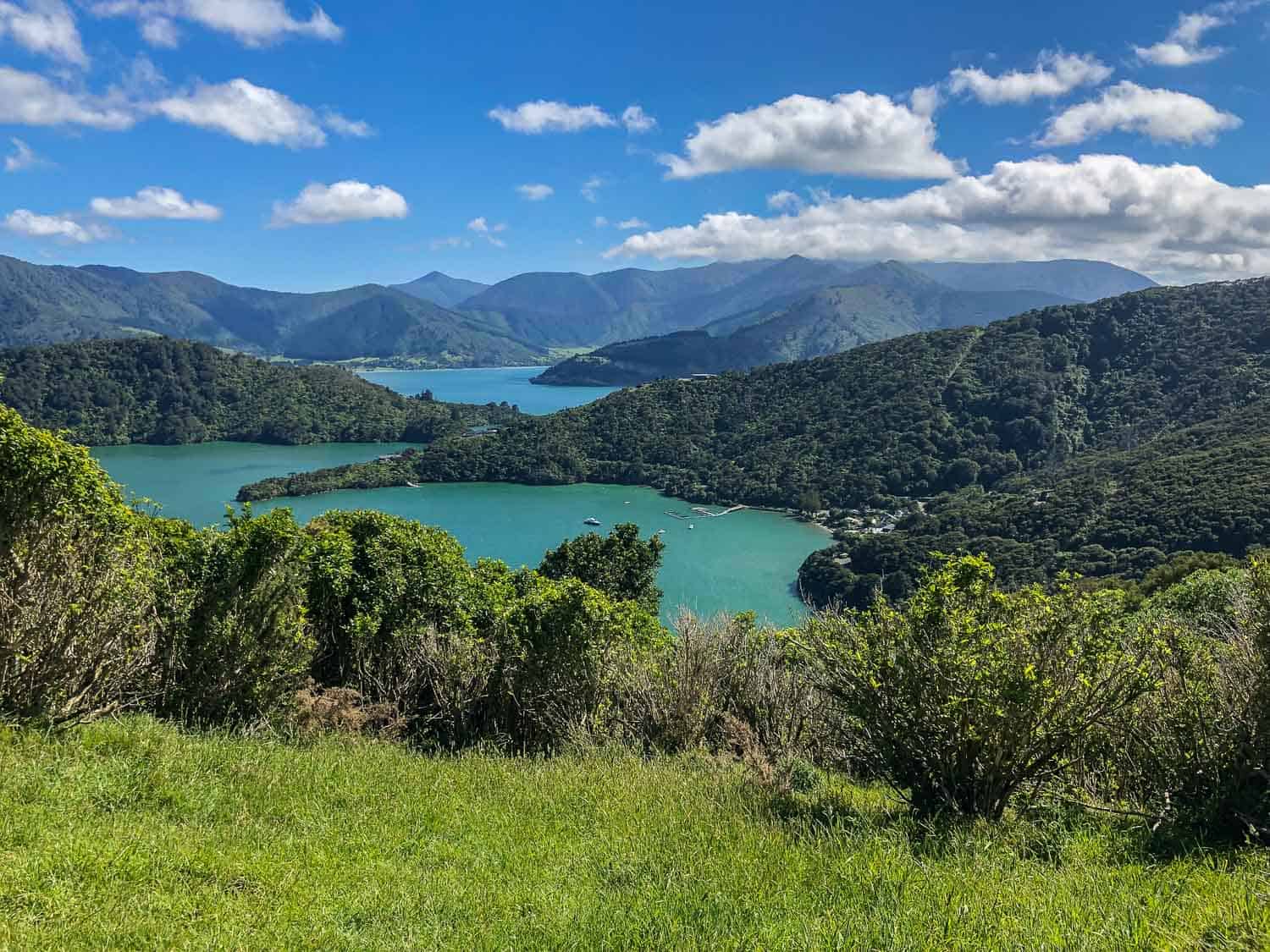 Views on Day 4 of the Queen Charlotte Track, New Zealand