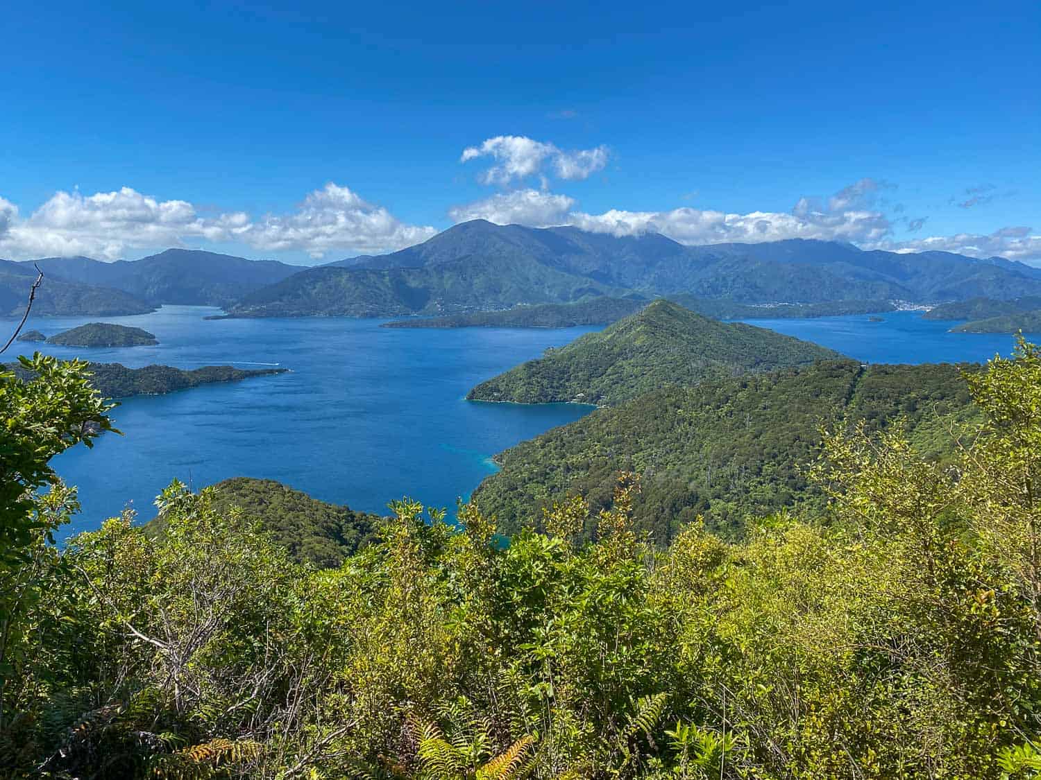 Views from Shamrock Ridge on Day 4 of the Queen Charlotte Track, New Zealand