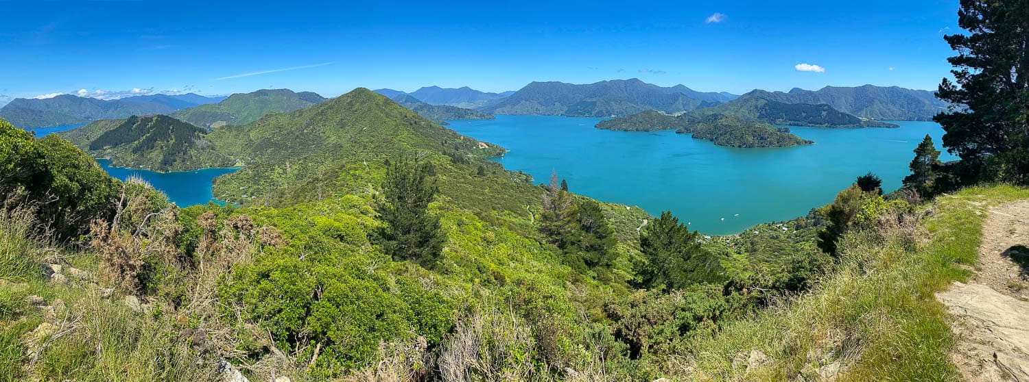 View of Kenepuru and Queen Charlotte sounds on Day 4 of the Queen Charlotte Track, New Zealand