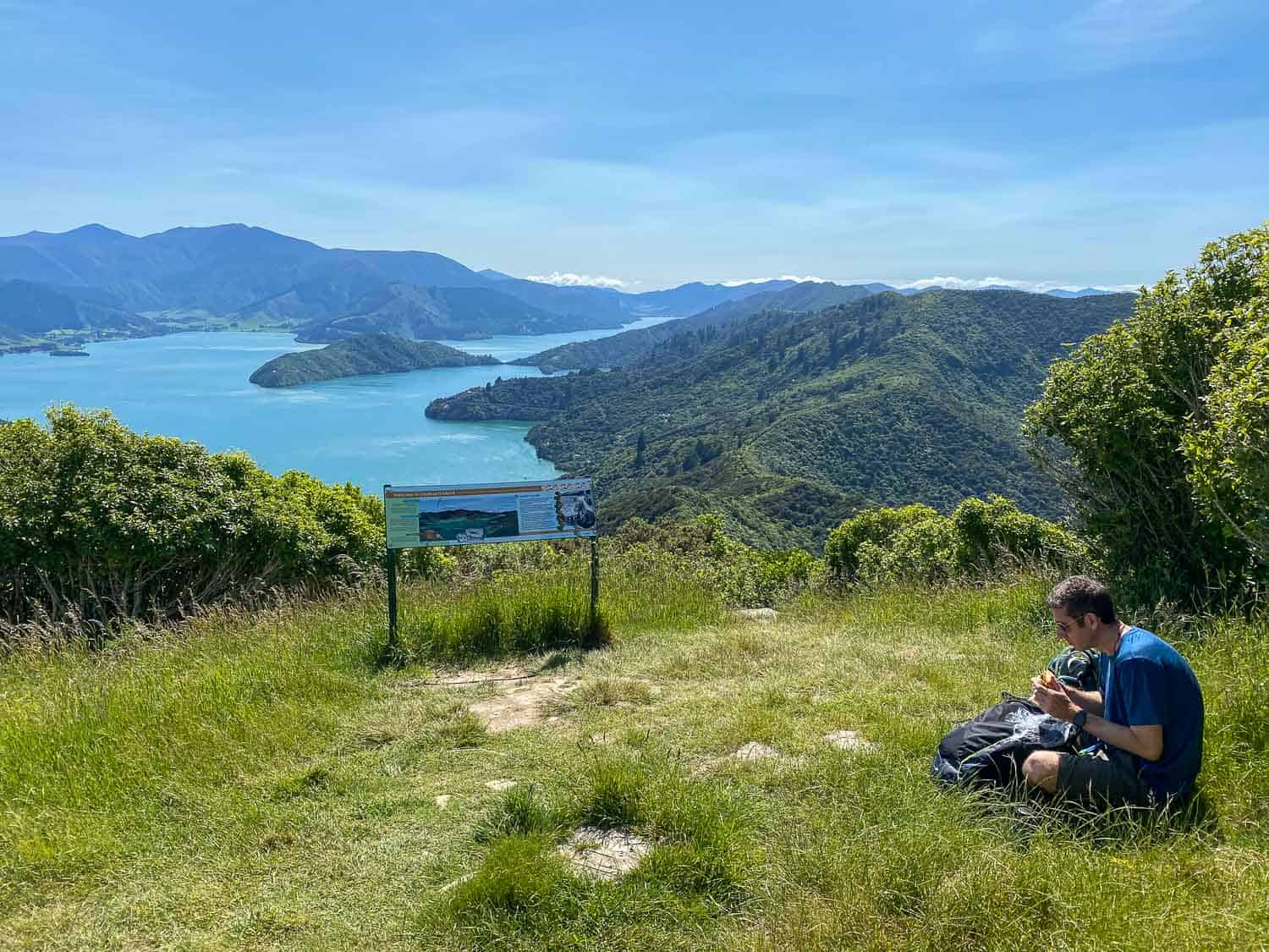 Eating lunch on the grass at the Onaharu Lookout with a view of the Marlborough Sounds on the Queen Charlotte Track