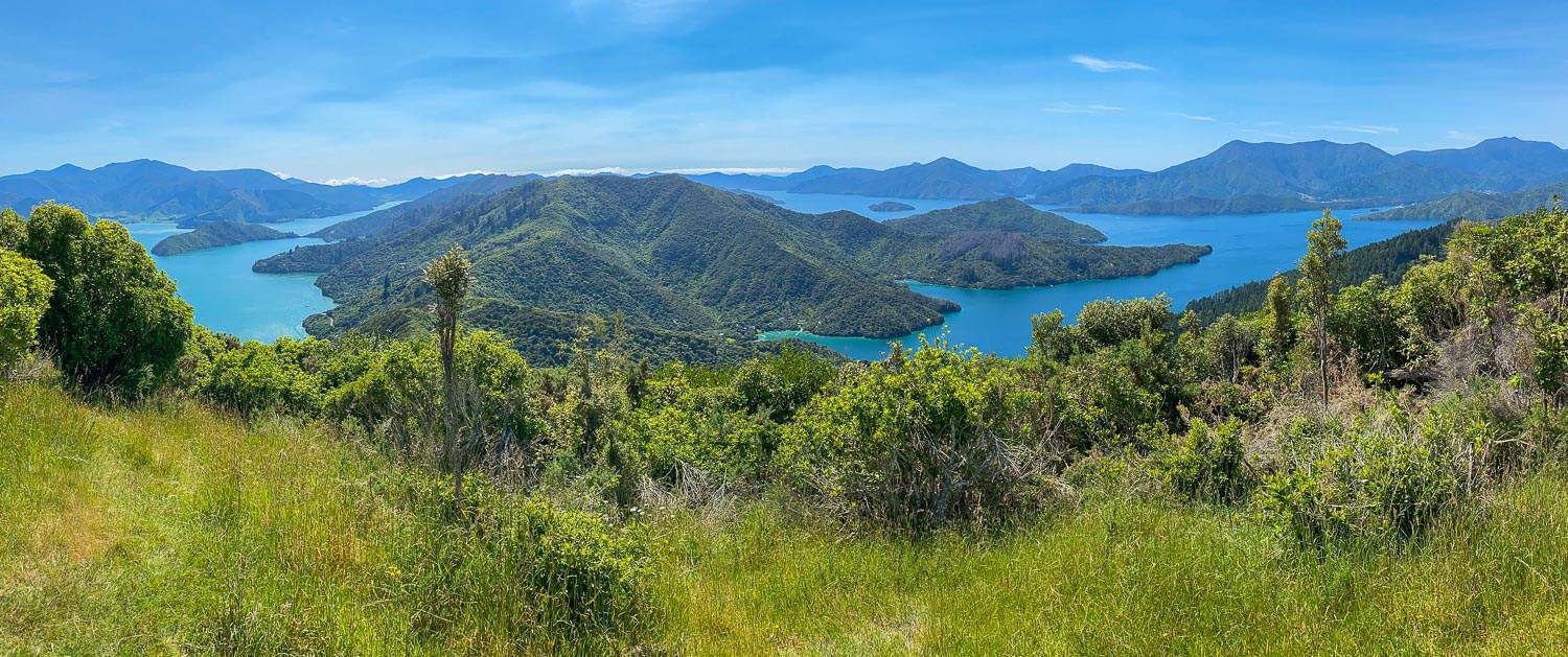 The view of the Marlborough Sounds from the Onaharu Lookout, a detour from the Queen Charlotte Track