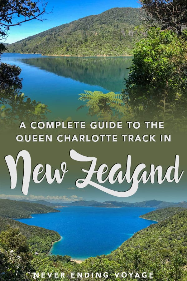 All you need to know for walking the Queen Charlotte Track in New Zealand