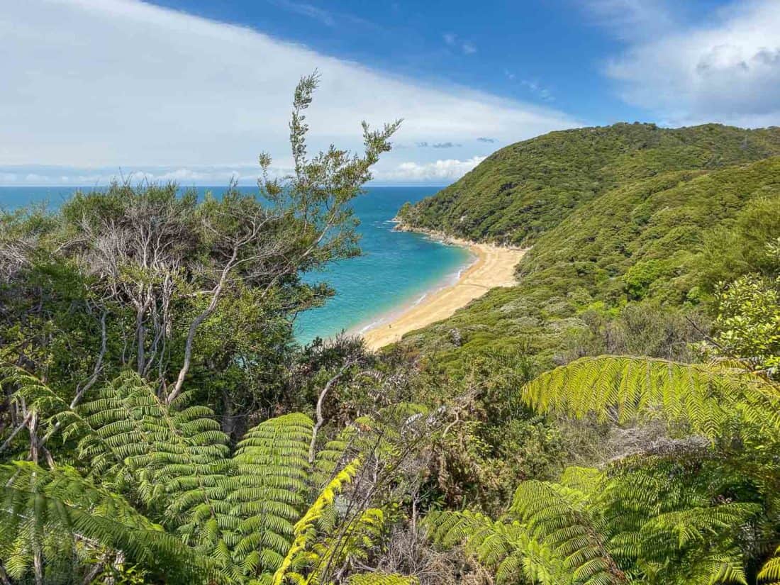 View of Anapai Bay from Abel Tasman Coast Track, New Zealand