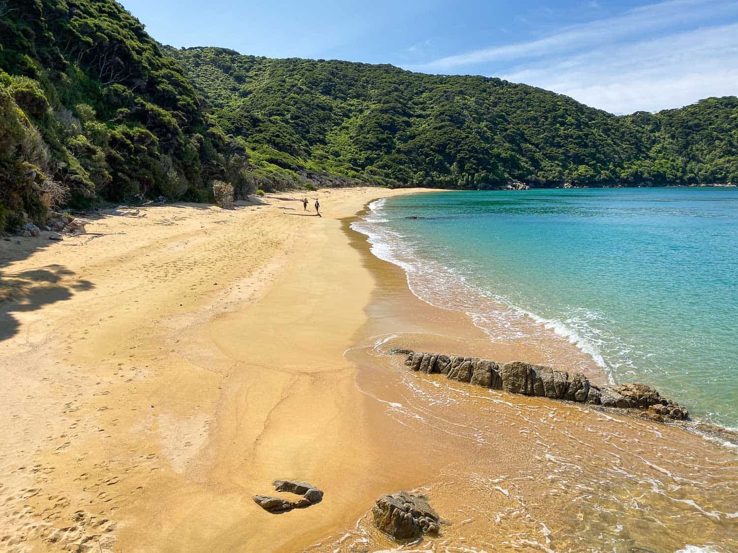 The beach at Mutton Cove, one of the best places to visit on a day trip to Abel Tasman National Park, New Zealand