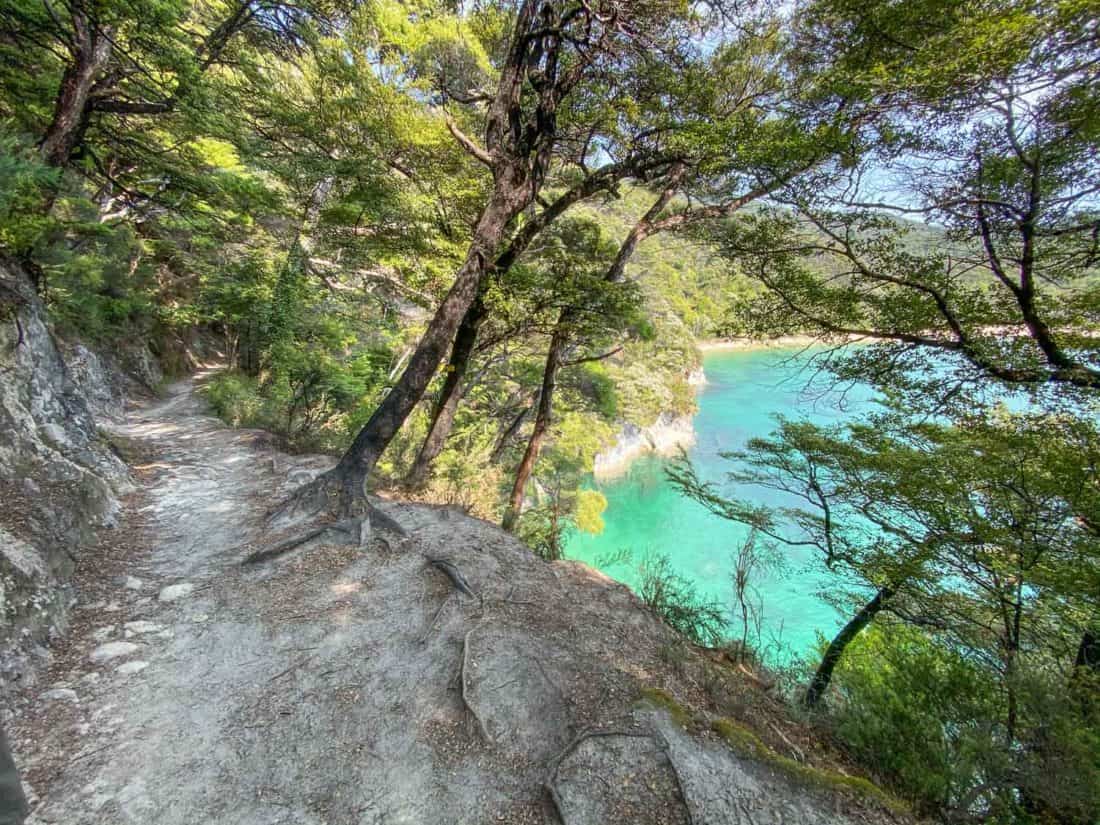 Abel Tasman Coast Track through forest with sea views, New Zealand