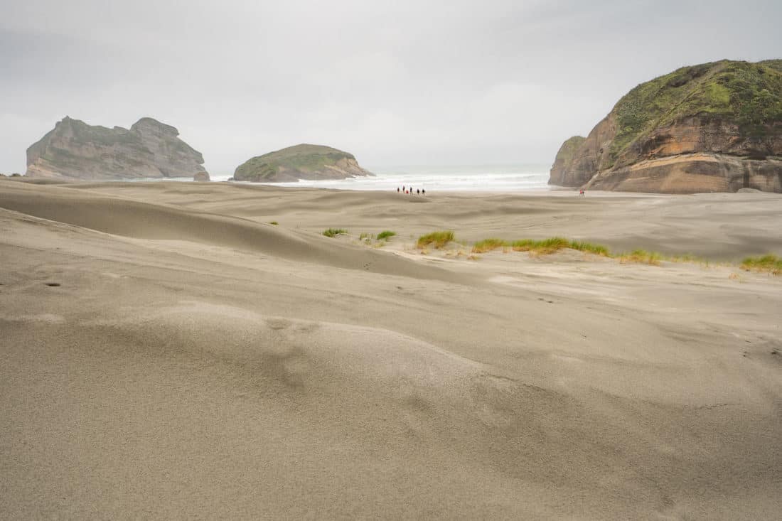 The sand dunes and rocks of Wharariki Beach in Golden Bay, New Zeland