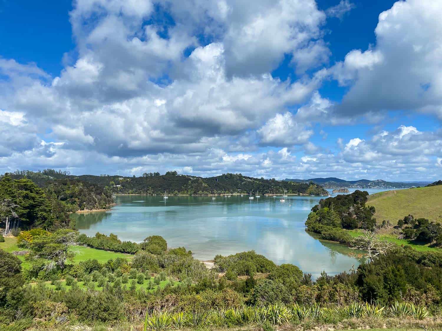 View from our Airbnb in Bay of Islands, New Zealand