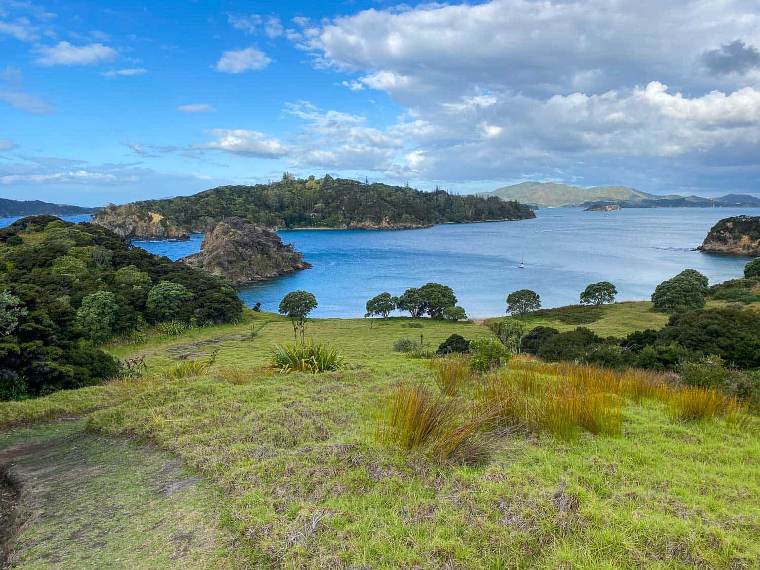 View from Moturua Island in the Bay of Islands 