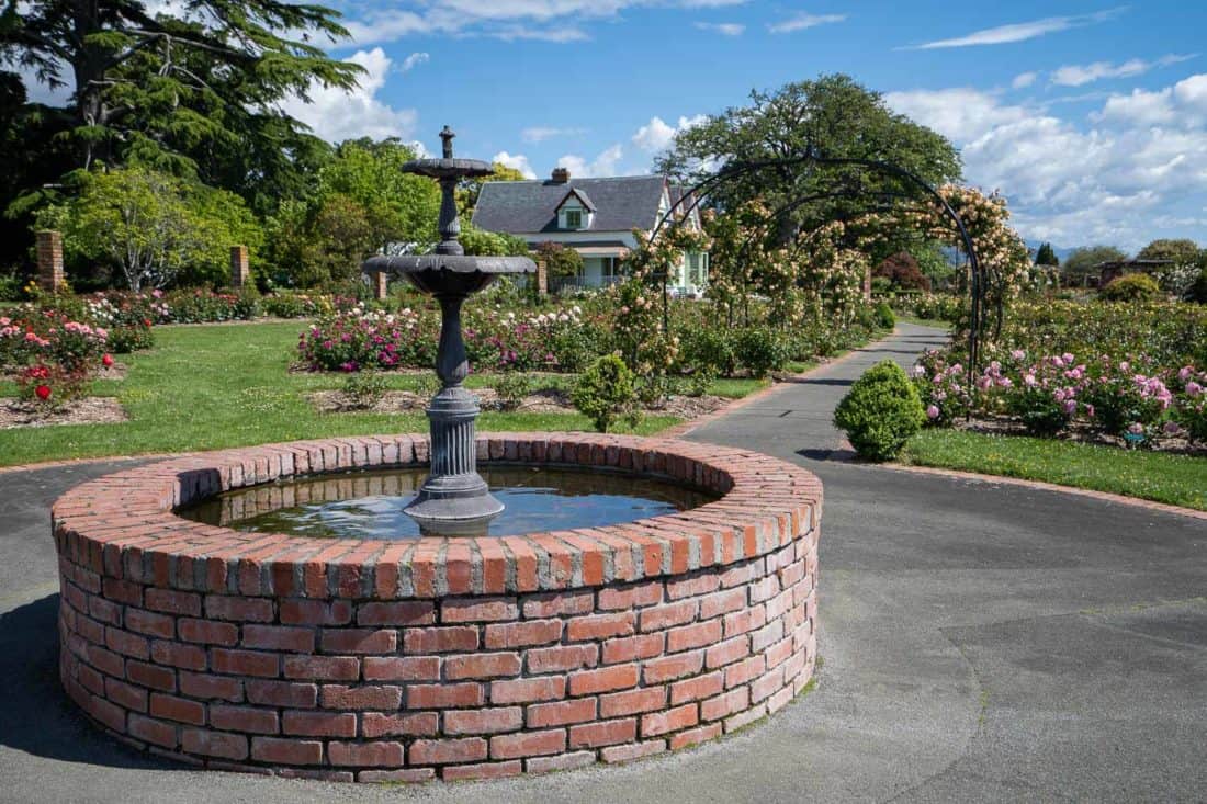 The rose garden at Broadgreen historic house in Nelson New Zealand