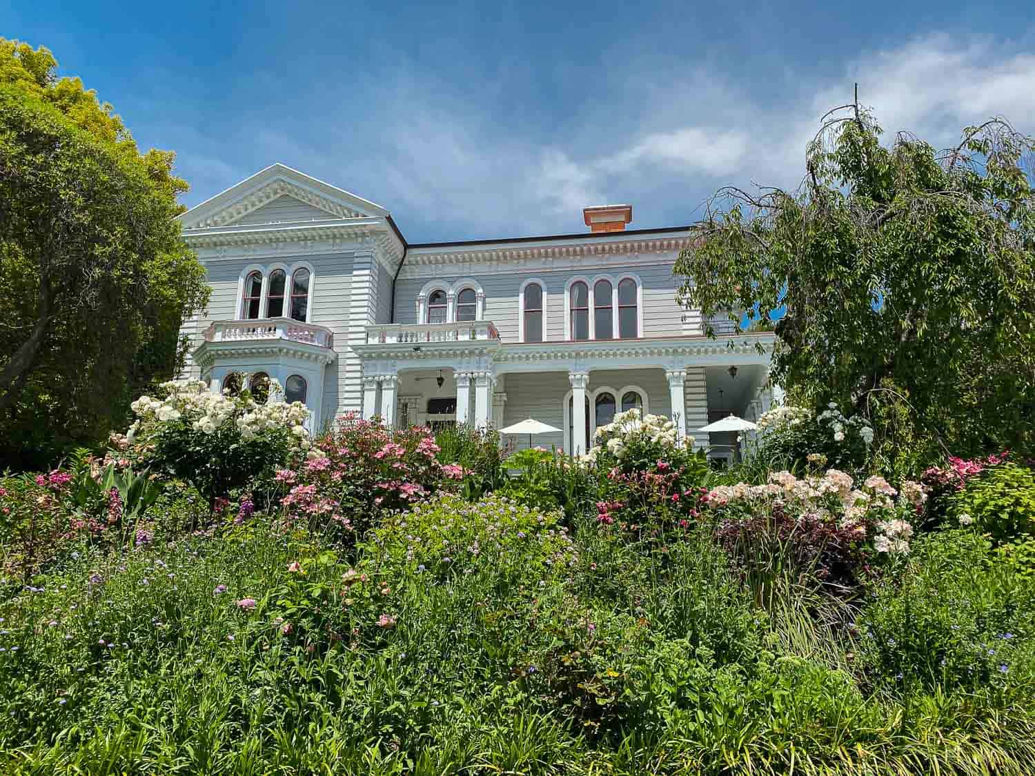 24 Best Things to Do in Nelson, New Zealand