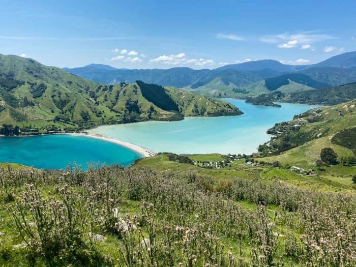 24 Best Things to Do in Nelson, New Zealand