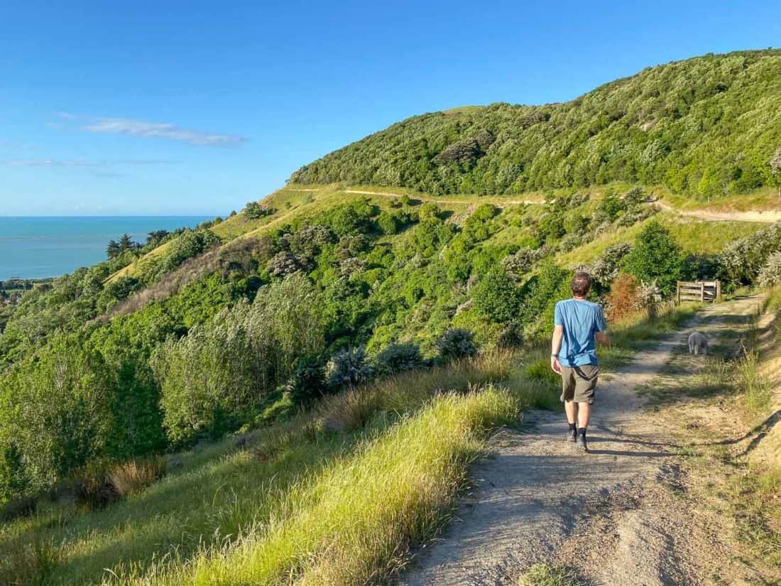 The Sir Stanley Whitehead Track from the Centre of New Zealand in Nelson