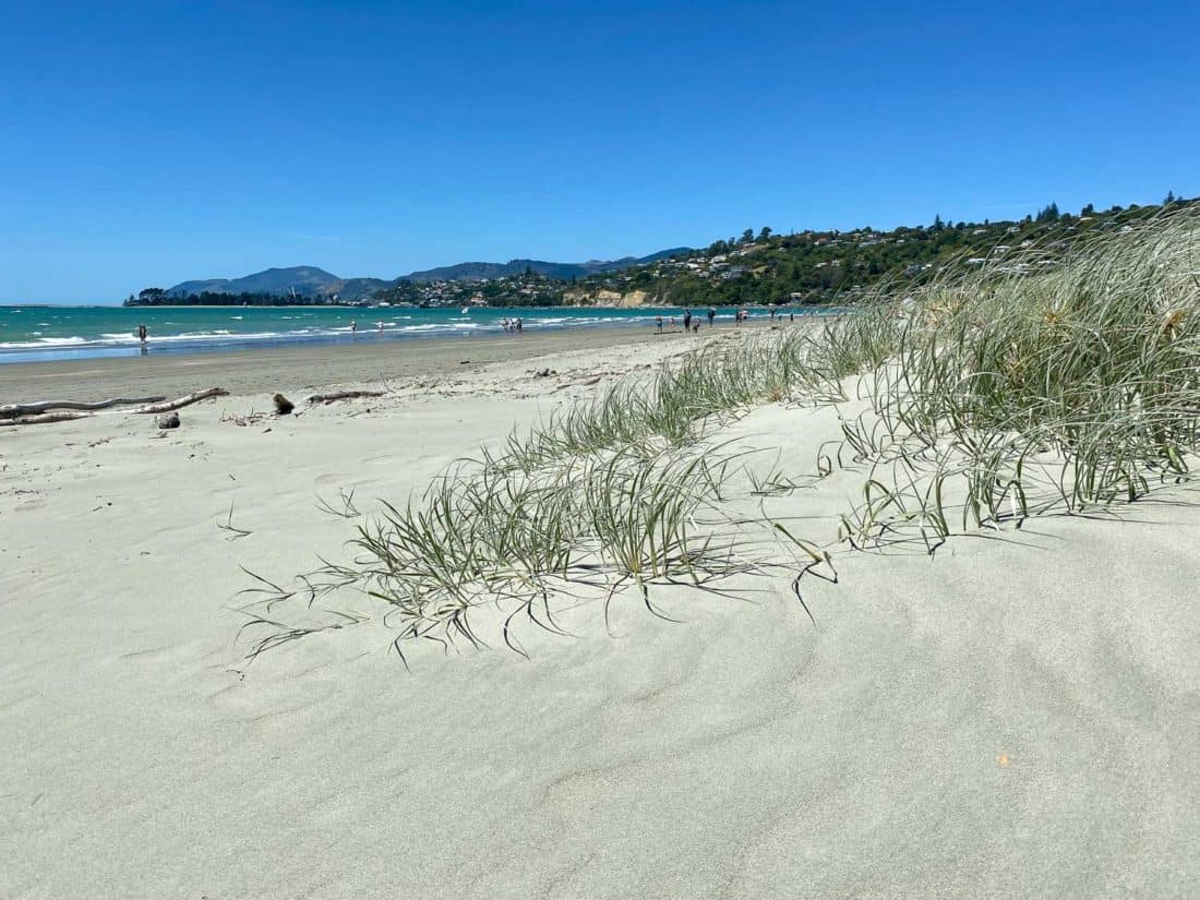 Tahunanui Beach, one of the best places to visit in Nelson New Zealand