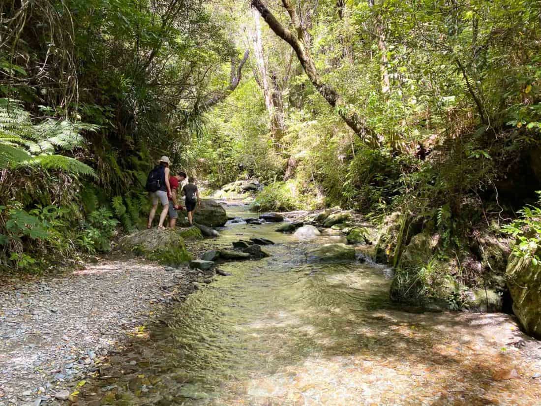 The river in the Brook Waimārama Sanctuary, a must see in Nelson NZ