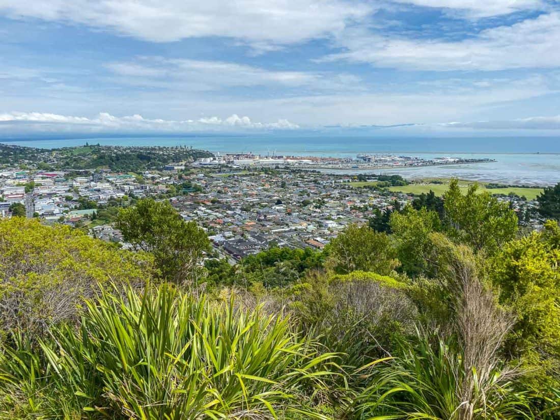 The view from the top of the Centre of New Zealand in Nelson