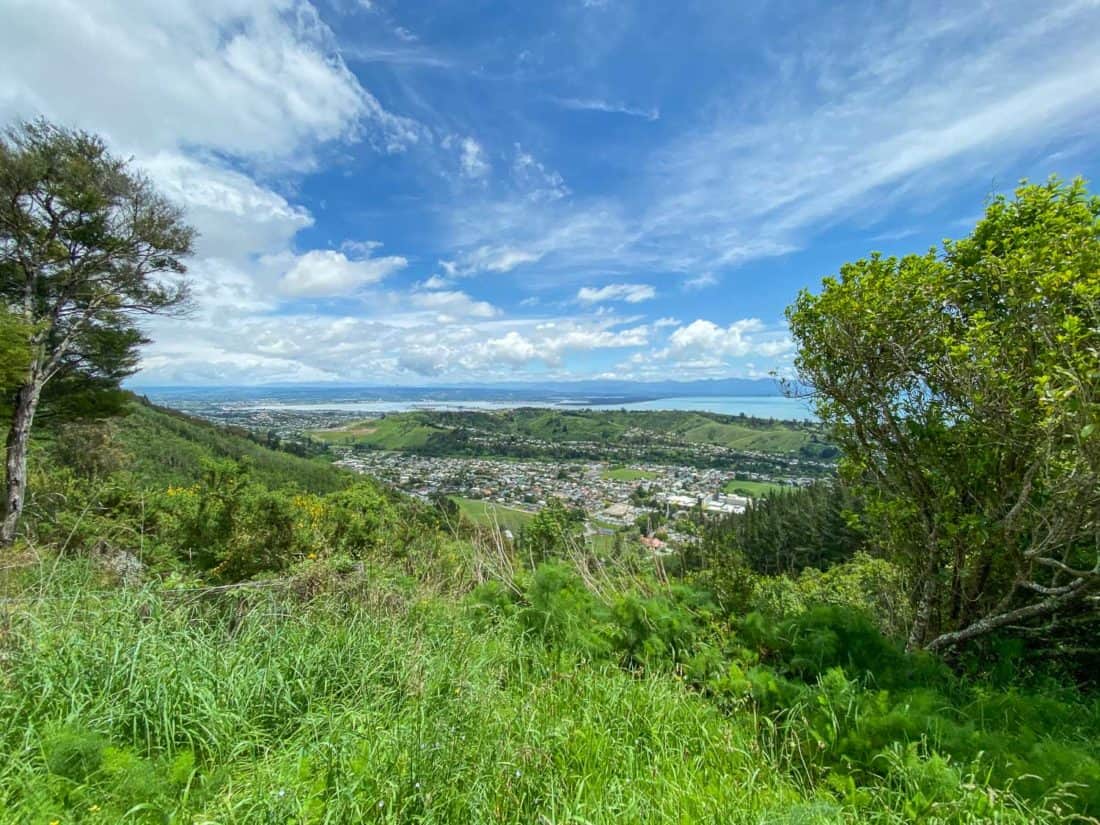 The view from the Grampians trail, one of the top things to do in Nelson New Zealand