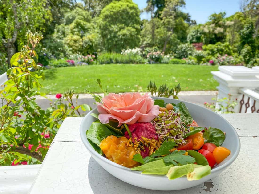 Vegan Nourished Bowl at Melrose House Cafe in Nelson, New Zealand