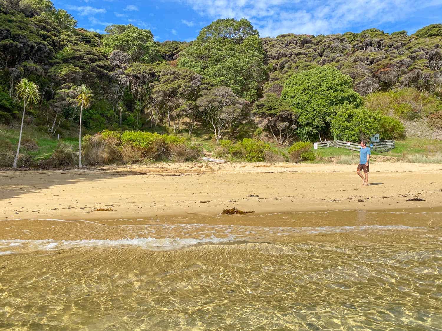 Sunset Bay on Urupukapuka Island in Bay of Islands, New Zealand