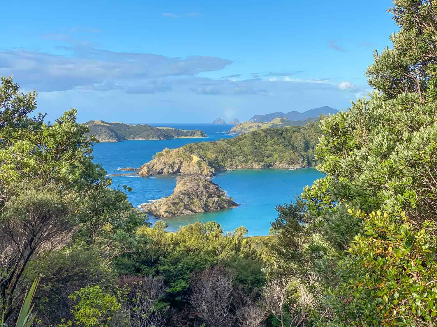 View from walking trail on Moturua Island, Bay of Islands 