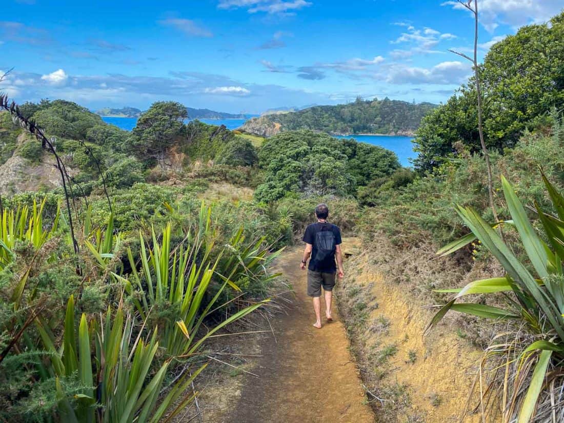 Hiking on Moturua Island, Bay of Islands
