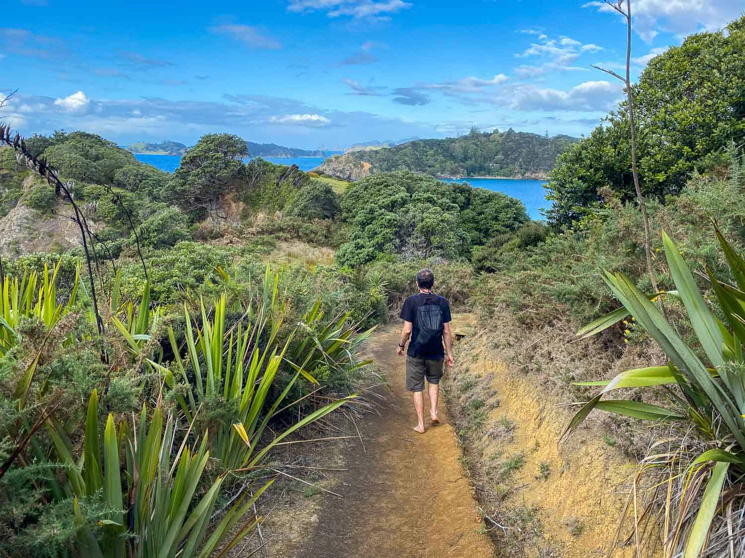Hiking on Moturua Island, Bay of Islands 