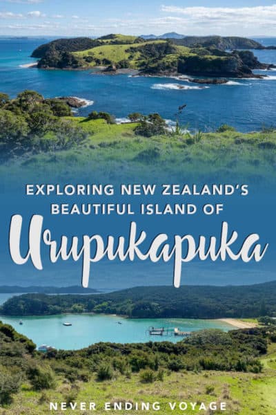 A guide to visiting Urupukapuka island in the Bay of Islands in New Zealand