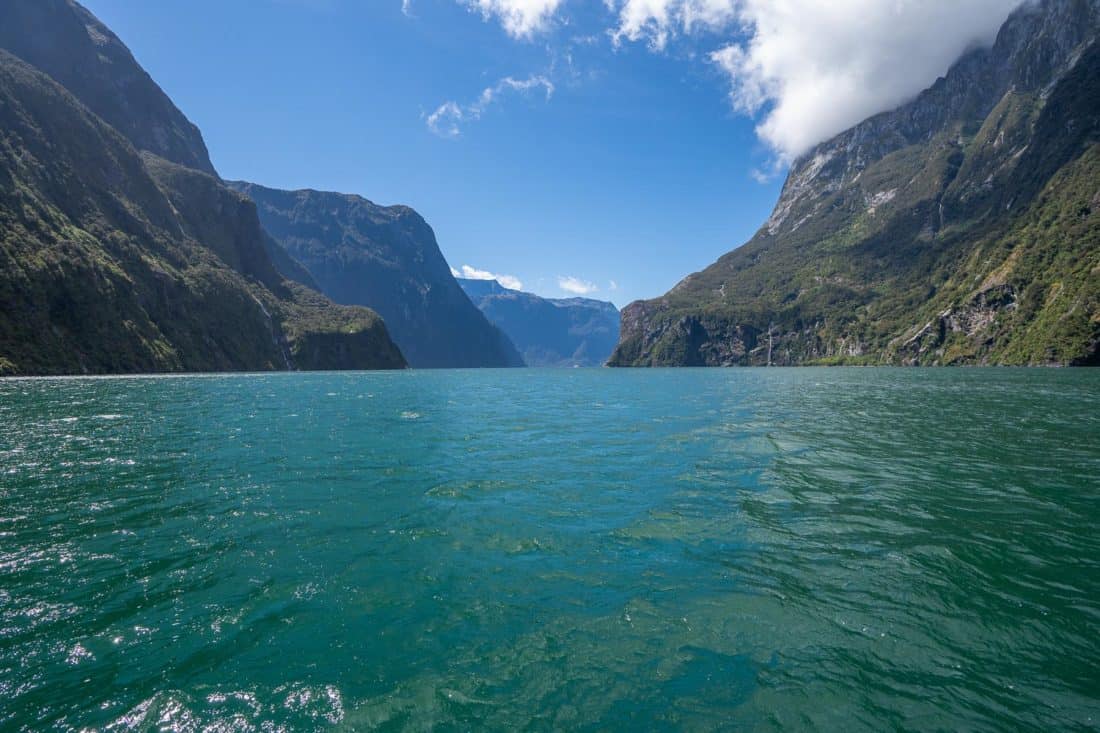 View from a Milford Sound cruise 