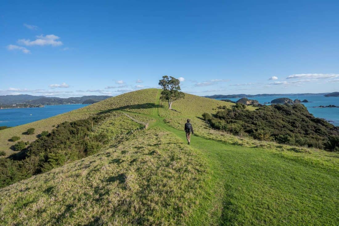 The Cable Bay Loop trail on Urupukapuka Island, Bay of Islands, NZ