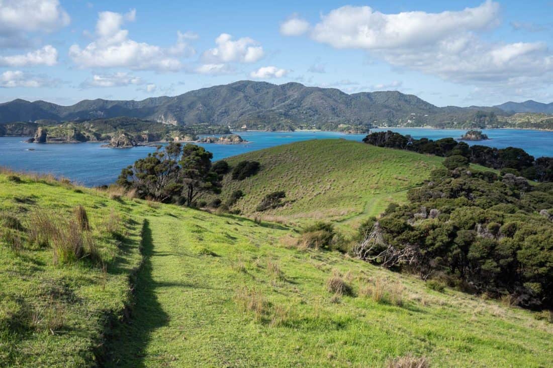 Views on the Pateke Loop walking track on Urupukapuka Island