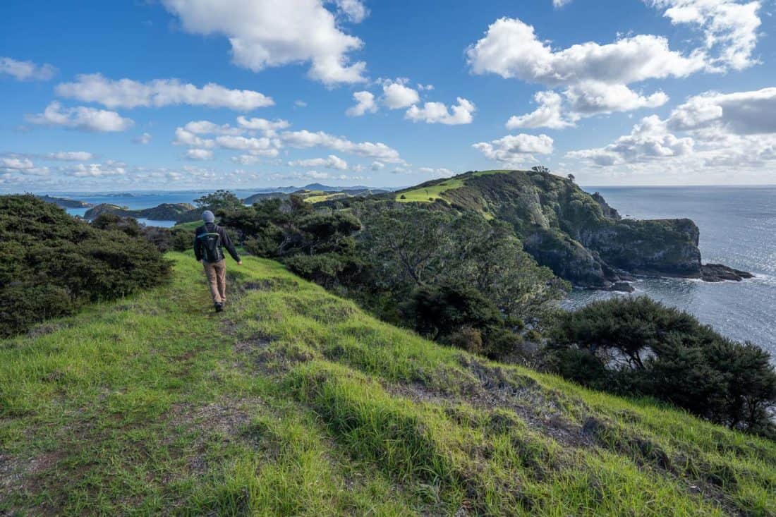 Hiking the Pateke Loop trail on Urupukapuka Island