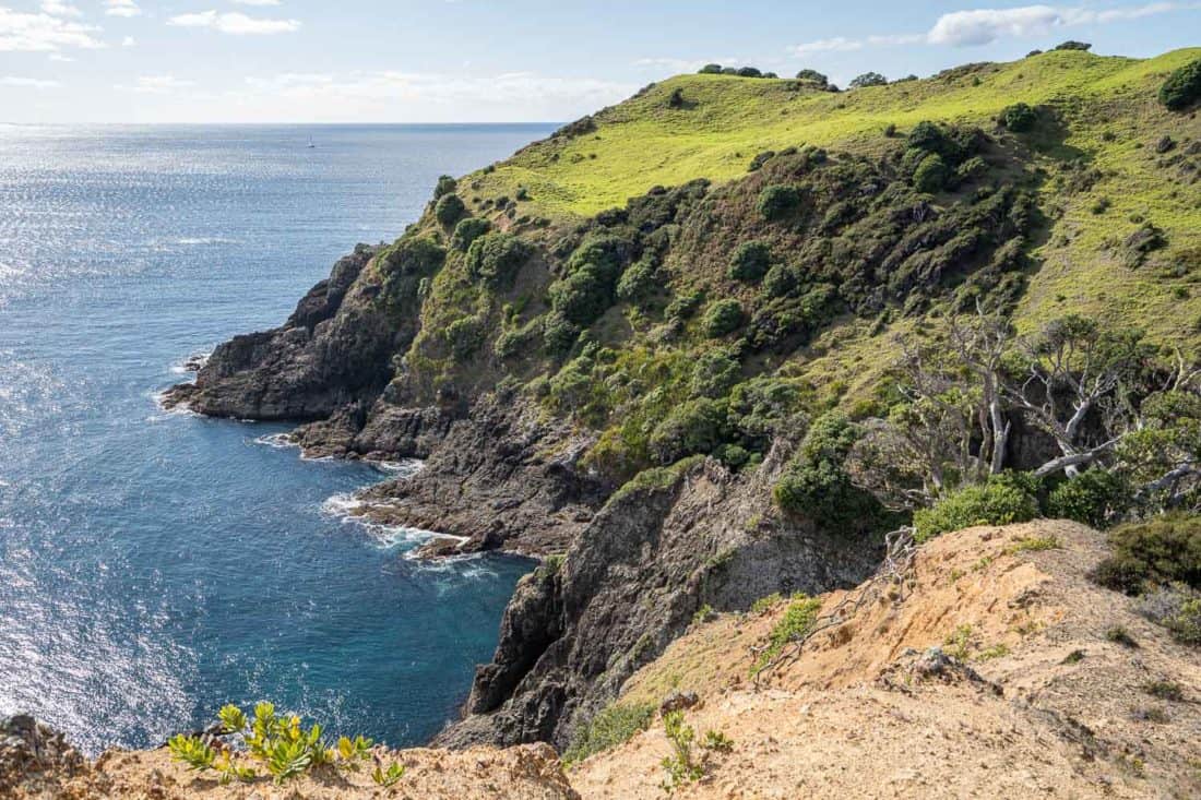 Cliffs on the Cliff Pa Loop walking track on Urupukapuka Island, Bay of Islands, NZ