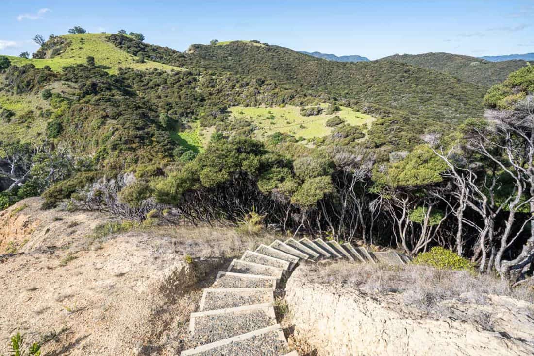Steps up the Cliff Pa Loop trail on Urupukapuka Island, Bay of Islands, NZ