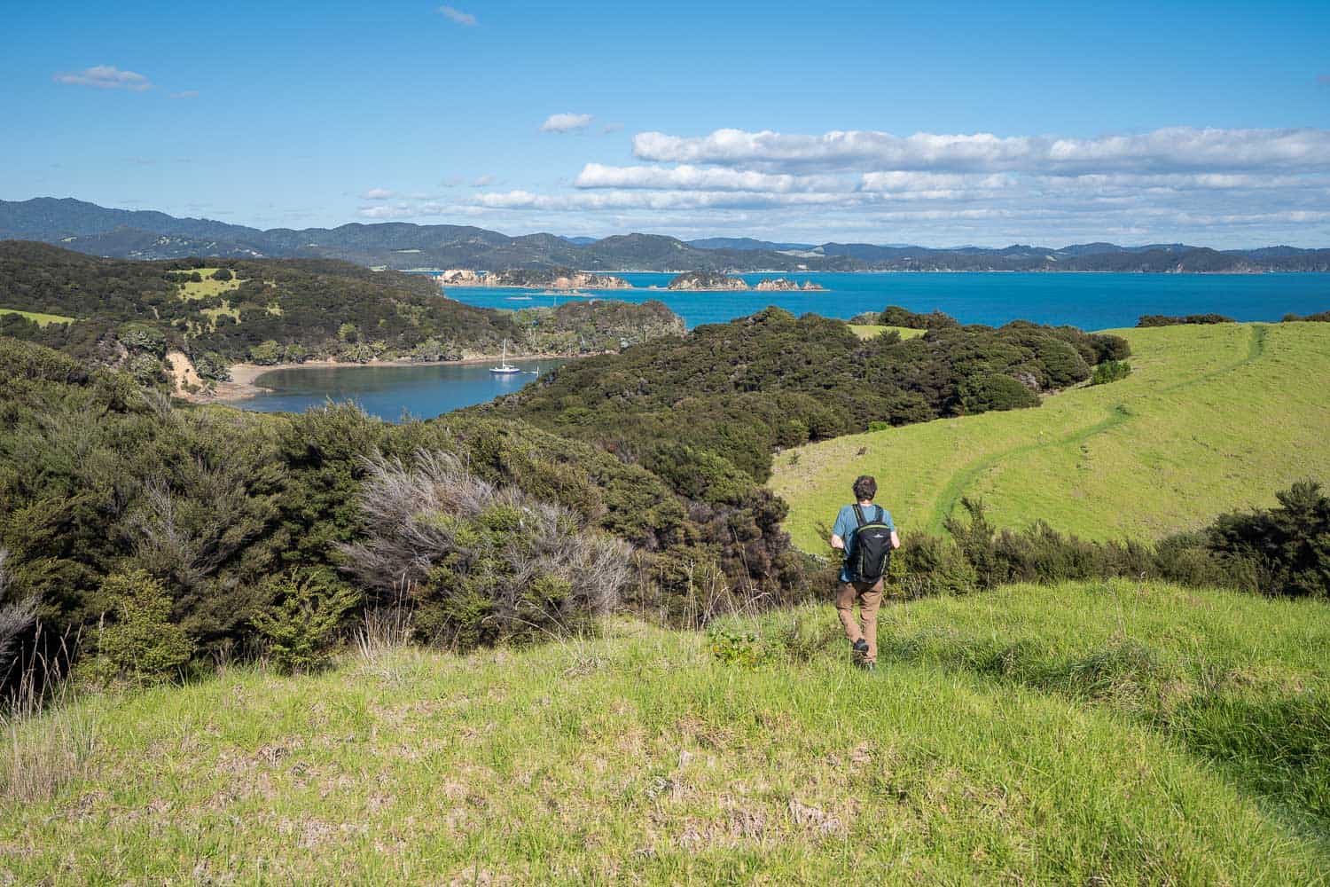 Hiking above Entico Bay on Urupukapuka Island in the Bay of Islands, New Zealand