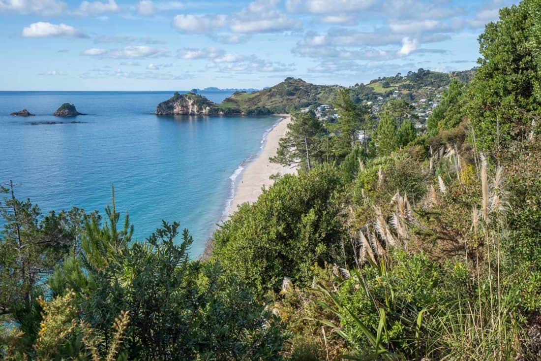 Hahei Beach in the Coromandel from above, New Zealand