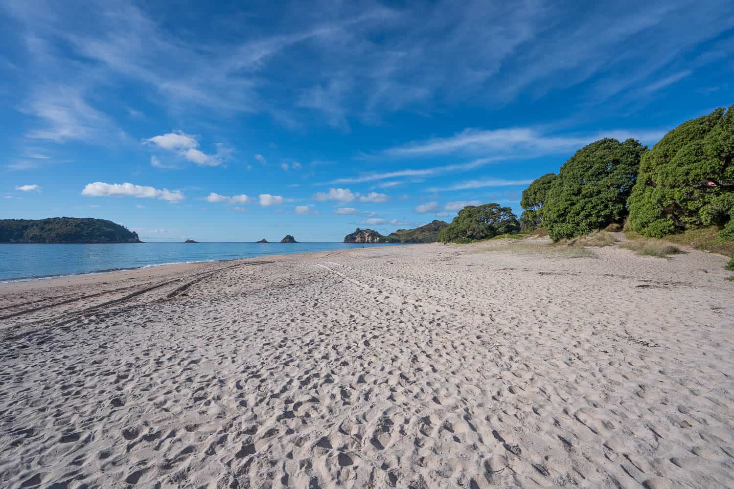 Hahei Beach in the Coromandel, one of the best places on a New Zealand North Island road trip