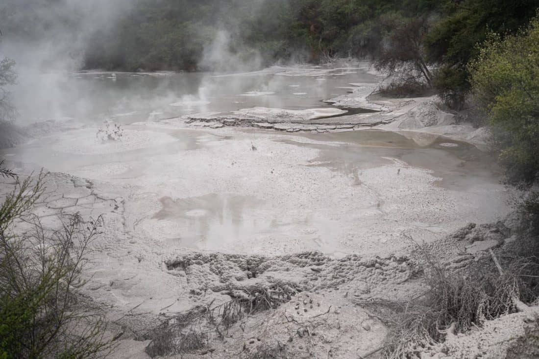 Mud Pool near Wai-o-Tapu, North Island, New Zealand