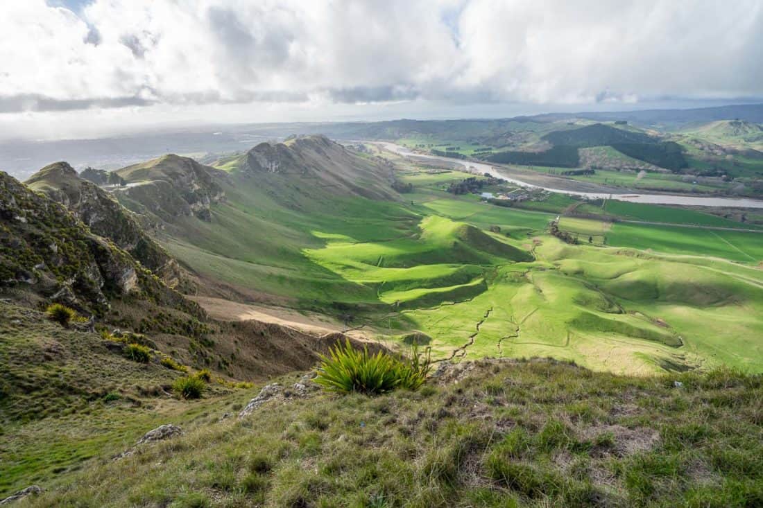 Craggy Range Vineyard from Te Mata Peak, Hawke's Bay, North Island, New Zealand