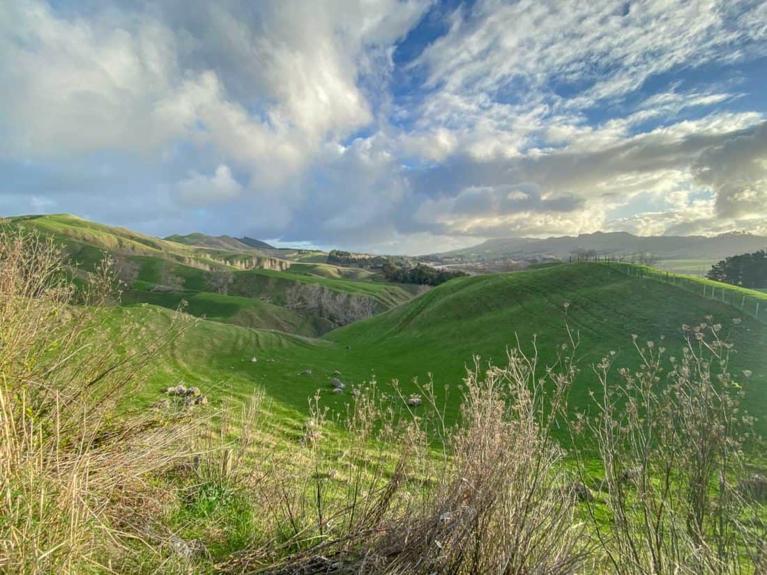 The view from Mt Erin Lookout on the way to Ocean Beach in Hawke's Bay, North Island, New Zealand