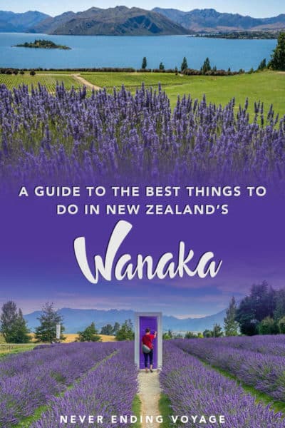 A guide to all the best things to do in Wanaka, New Zealand! | wanaka new zealand, wanaka tree, wanaka lake, wanaka lavender farm