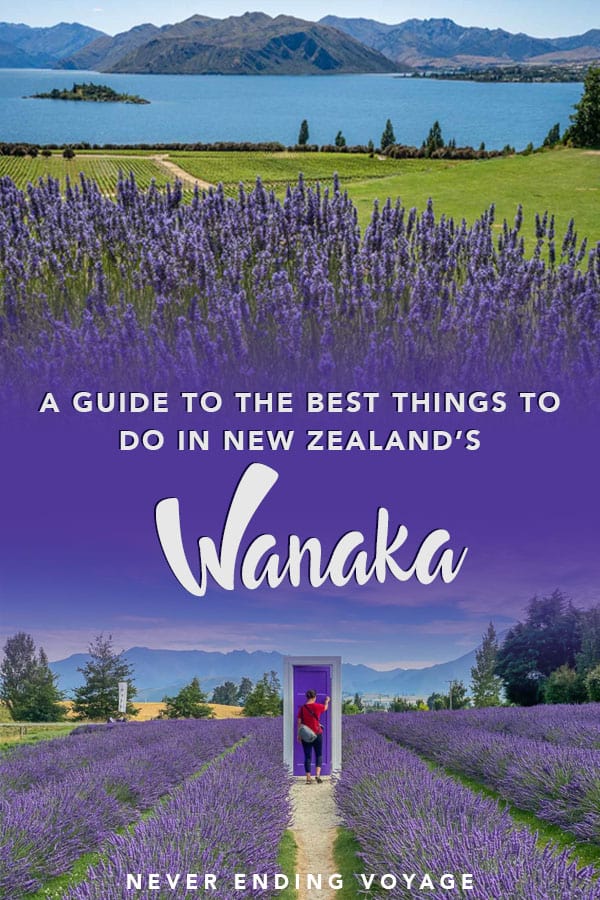 A guide to all the best things to do in Wanaka, New Zealand! | wanaka new zealand, wanaka tree, wanaka lake, wanaka lavender farm
