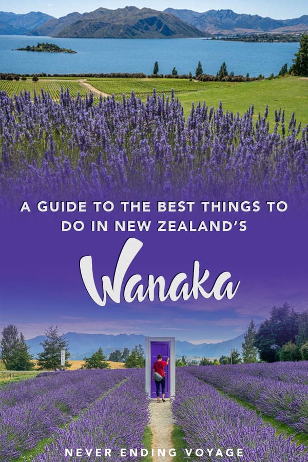 A guide to all the best things to do in Wanaka, New Zealand! | wanaka new zealand, wanaka tree, wanaka lake, wanaka lavender farm